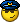Policist